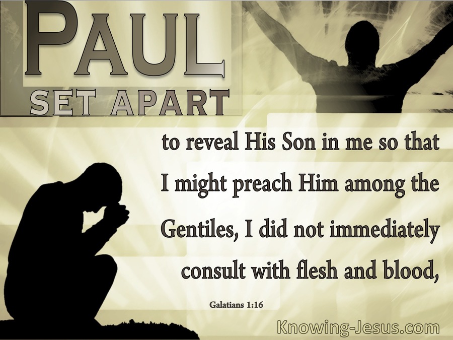 Galatians 1:16 Set Apart To Reveal God's Son In Paul (brown)